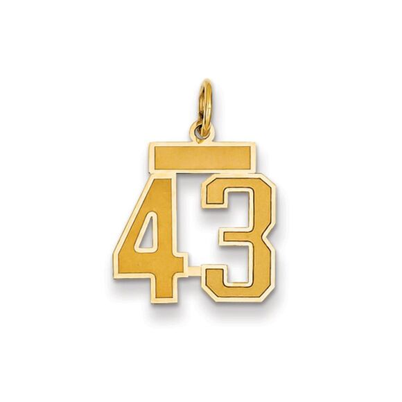 14k Yellow Gold Jersey Collection Small Number 43 Pendant